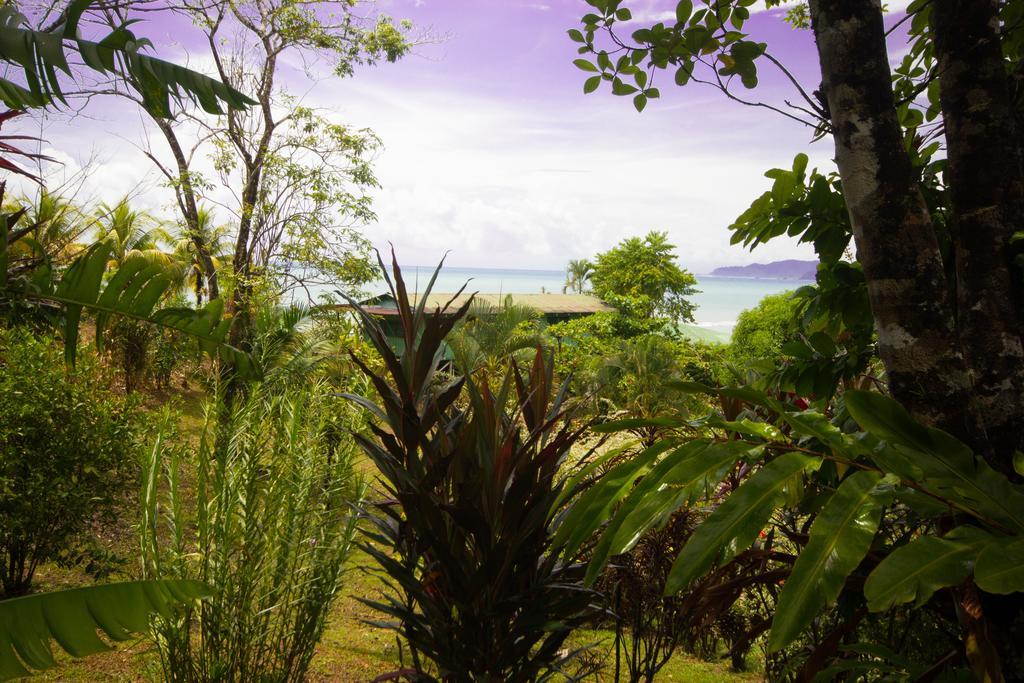 Hotel Rancho Corcovado Drake Bay Exterior foto