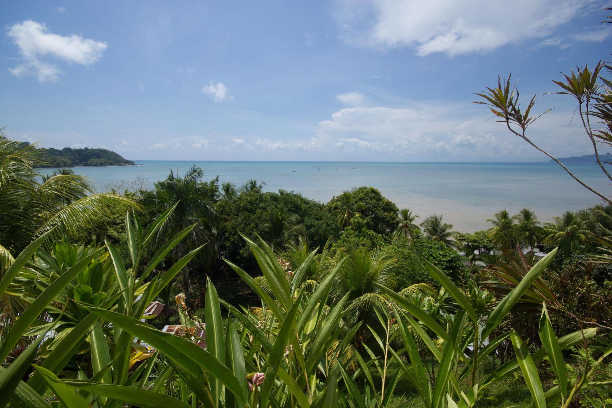 Hotel Rancho Corcovado Drake Bay Exterior foto
