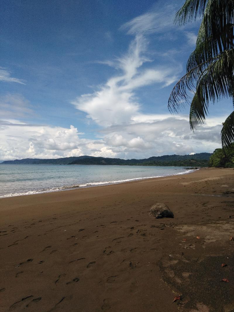 Hotel Rancho Corcovado Drake Bay Exterior foto